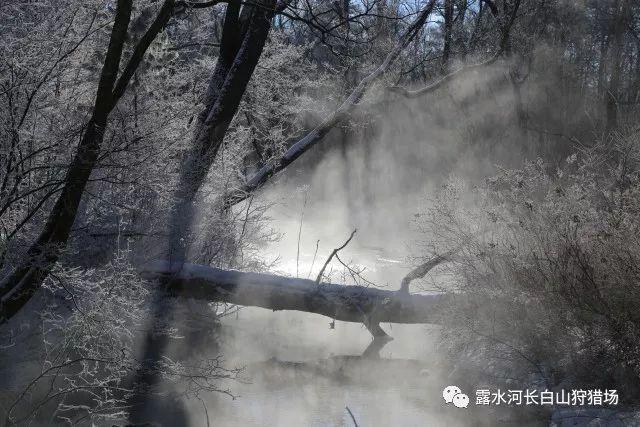 【聚焦青海两会】青海：重大项目加速推进 高质量发展行稳走实
