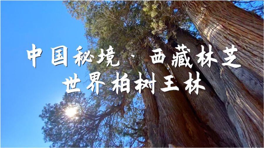 逃离死亡岛