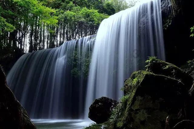 爱丽丝和闺蜜