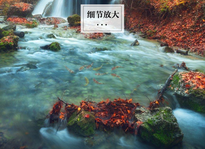 男女双方在恋爱中的付出应该平等吗？游戏画面